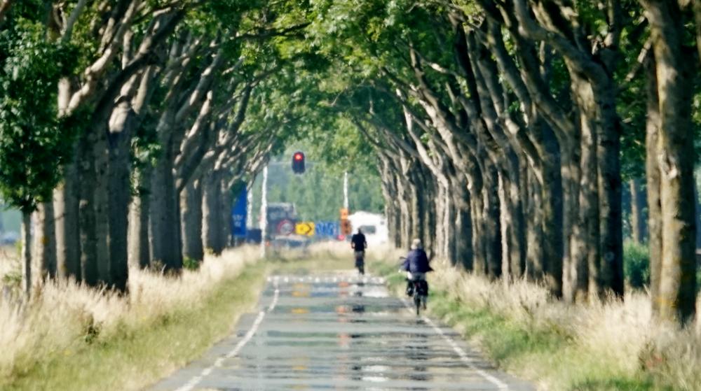 20220622_Ton Wesselius_Alphen aan den Rijn.jpg