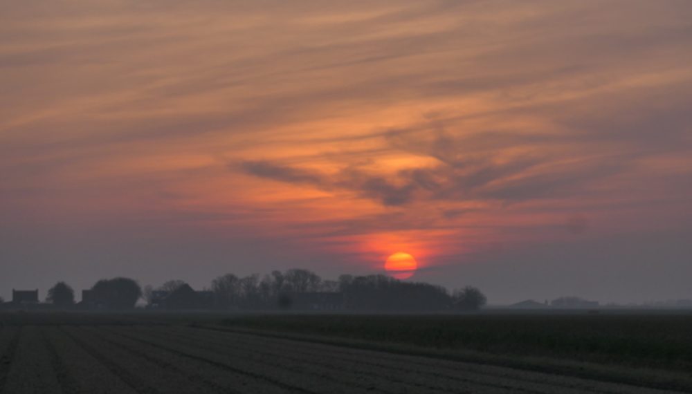 De Cocksdorp, Frans Alderse Baas.png