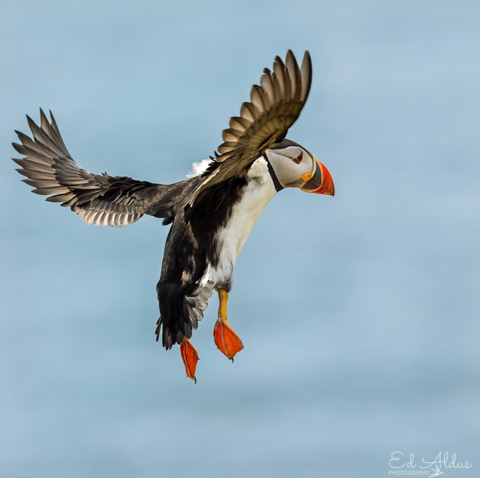 Schermafbeelding 2026-03-06 144412.png