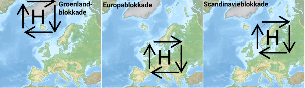 image (35).png