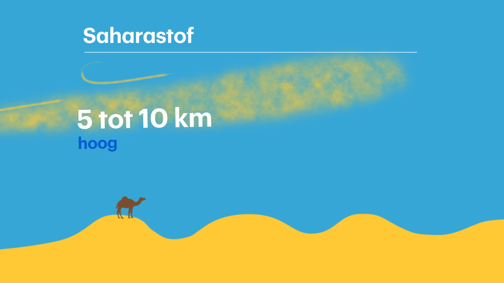 saharastofgraphic3.png