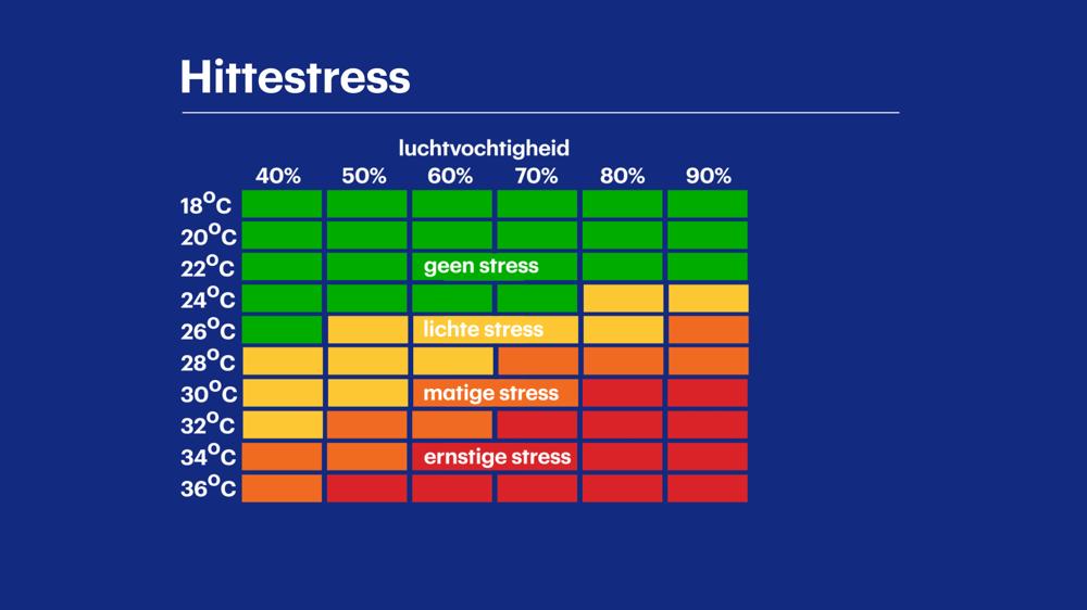 Hittestress 01 - PIS.jpg