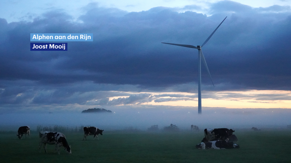 Foto5.png