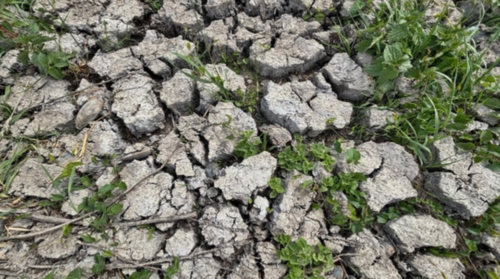 Ridderkerk, Gert de Bruijn.png