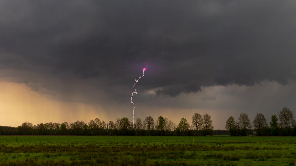 20250415_Hans BUls_Sleen.jpg