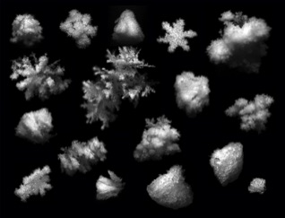 riming300dpi.jpg riming300dpi.jpg