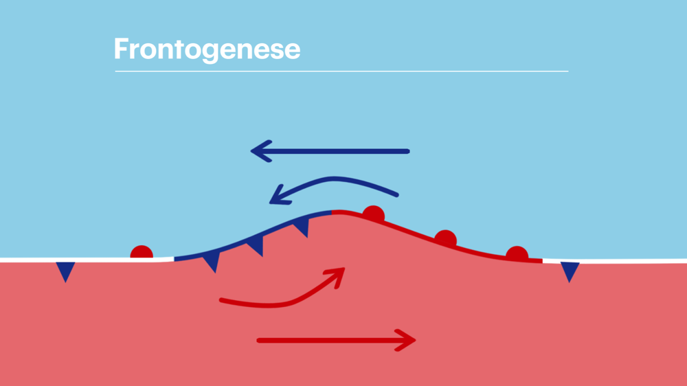 fotogenese  stap 2.png