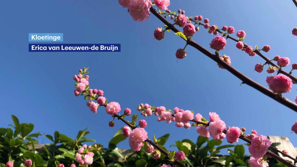 weerfoto31.jpg weerfoto31.jpg