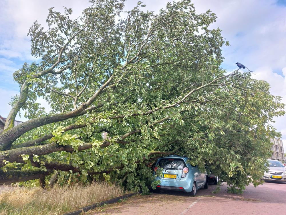 Jack kooistra Zandvoort 5 juli 2023 (1) (2).jpg