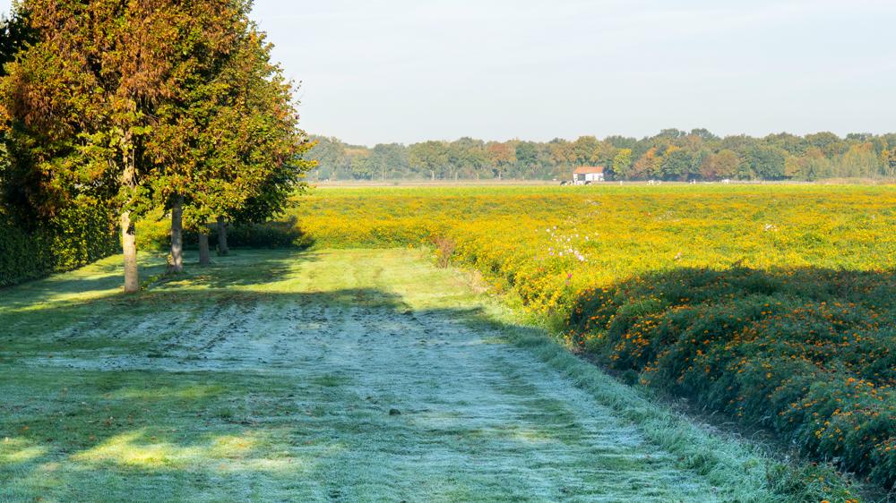 20221009_Jos Hebben_Altweerterheide.jpg