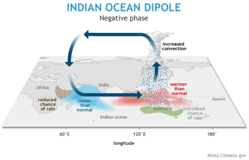 IOD-neg-e1640172009557.png