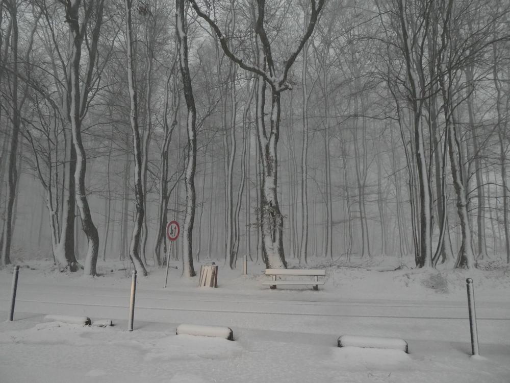 20200226_Marij Bouwers_Vaals.jpg