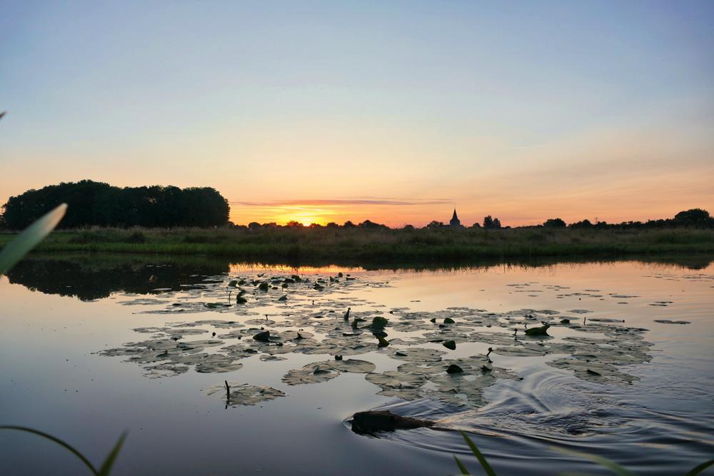 Josine Janssen_Grathem.jpg