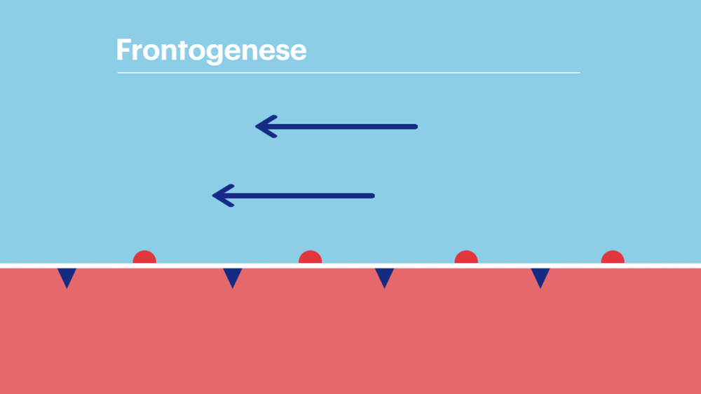 fotogenese  stap 1.png