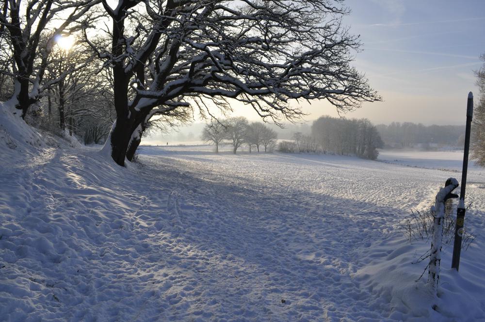 sneeuwlandgraafsvenberends.jpeg