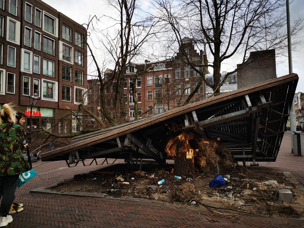 Boom omgevallen met daaromheen een enorme bank. Bron: Eveline Schrijen, Amsterdam, Haarlemmerplein