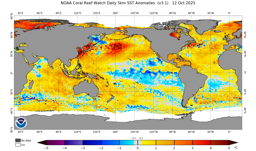 NOAA_ENSO.png