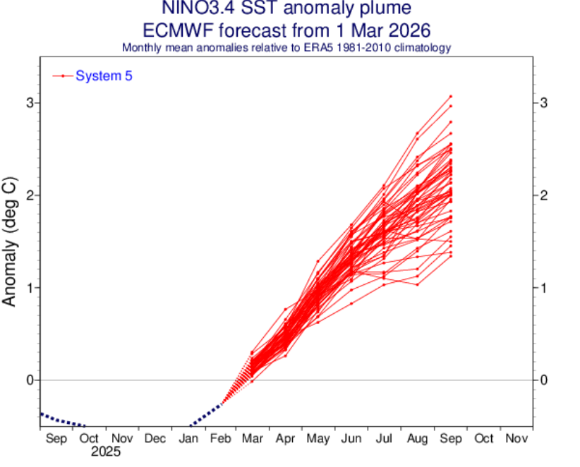 De verwachting van het Europese weermodel ECMWF voor de temperatuurafwijking in de Stille oceaan. (Bron ECMWF)