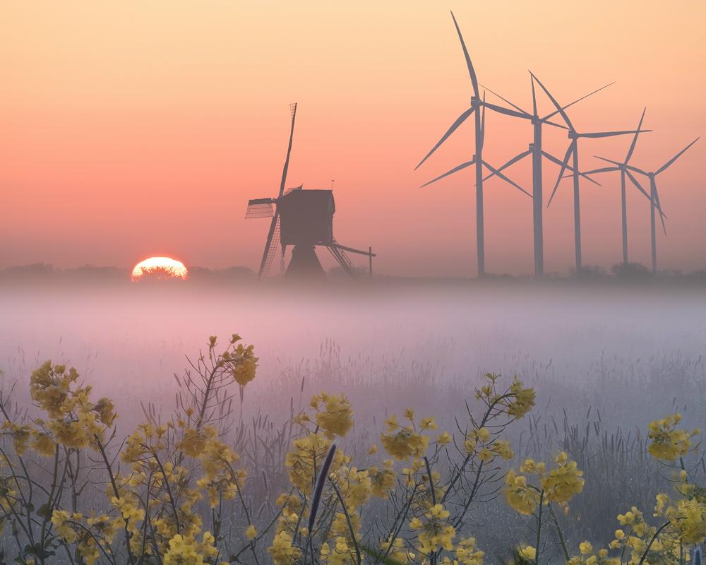 Onder een grondinversie heeft zich grondmist gevormd (foto: Gijs de Reijke)