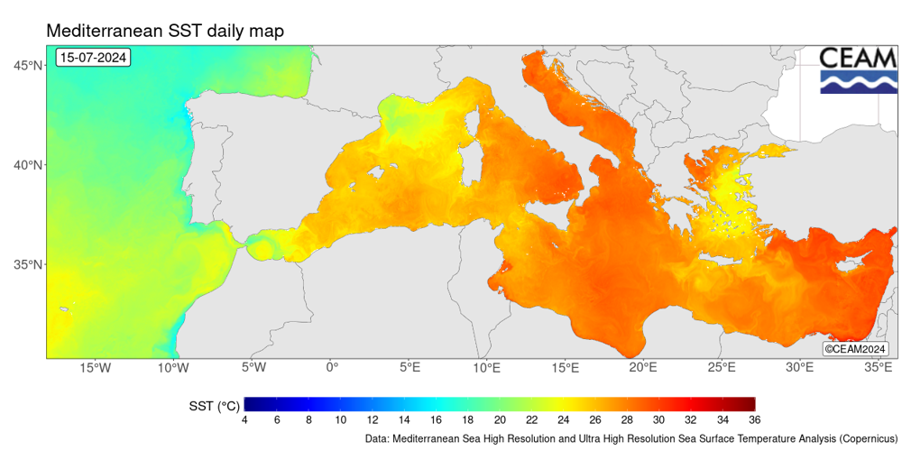 De hoogste zeewater temperaturen zijn te vinden rondom Italie, langs het griekse vaste land en aan de zuidkust van Turkije. Koeler is het zeewater rondom de meeste griekse eilanden door een stevige wind. (Bron: CEAM)