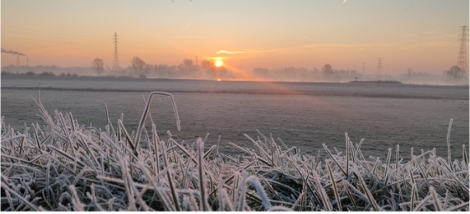 Wageningen, DaniÃ«l Uyleman.jpg