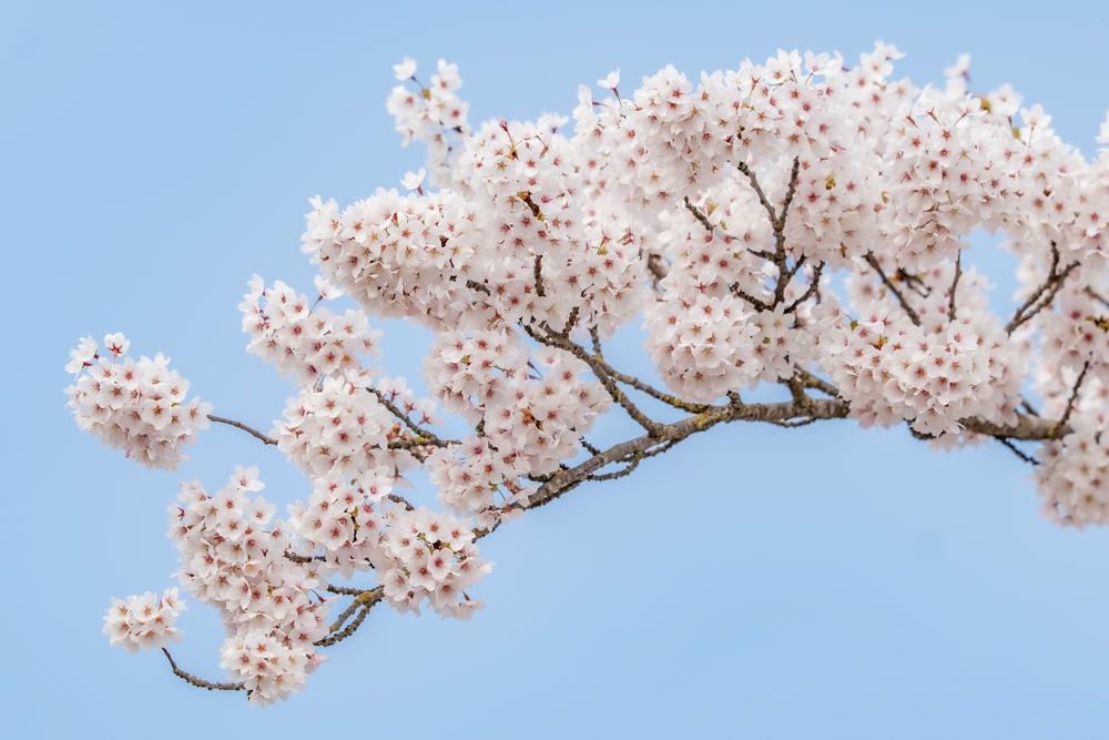 Chris Biesheuvel_Geldermalsen_21 mrt 26.jpg