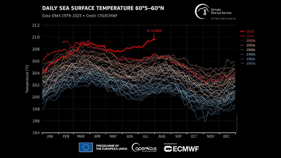 july2023-global-ssts-graph-ecmwf.jpg