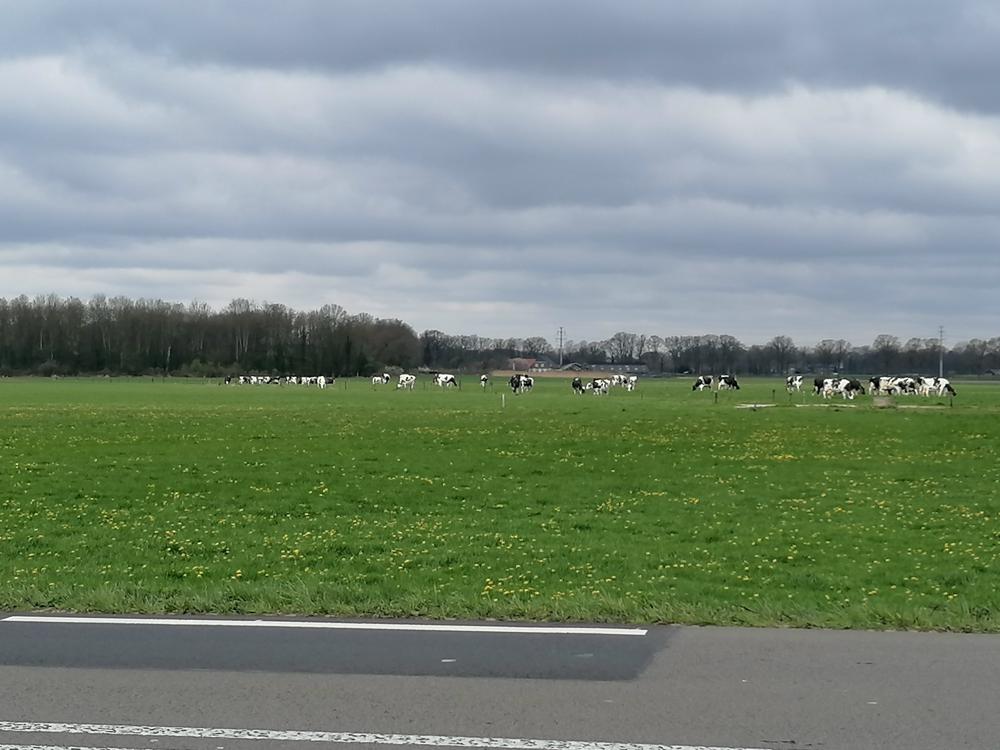 20230415_Henk Wiggers_Winterswijk.jpg