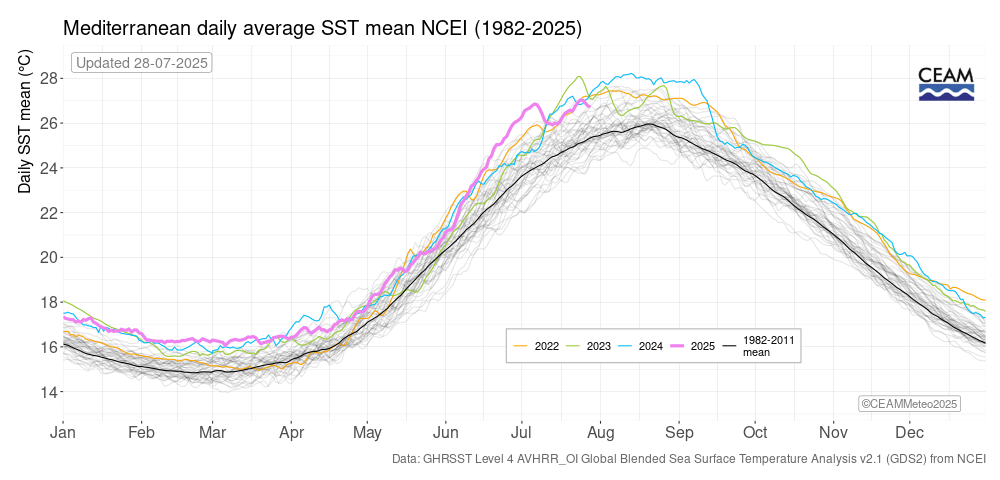 SST-NCEI-MED-global-year-by-year-plot-latest.png