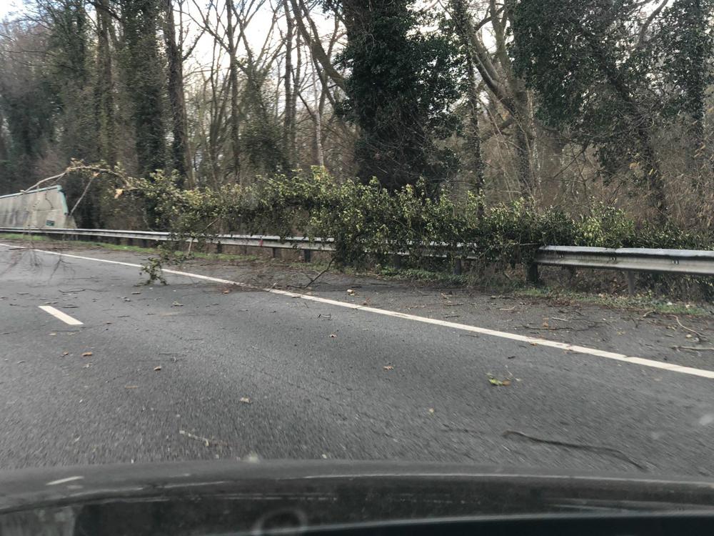 Snelweg A76 bij Nuth boom.jpg Snelweg A76 bij Nuth boom.jpg