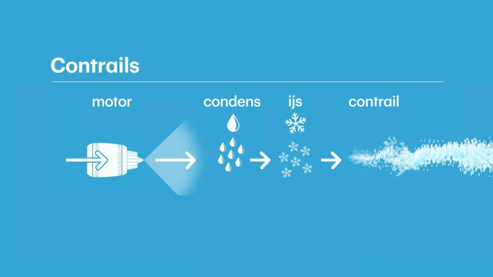 e53f790b-d0cc-496c-b767-da03081cf4ab.jpg e53f790b-d0cc-496c-b767-da03081cf4ab.jpg