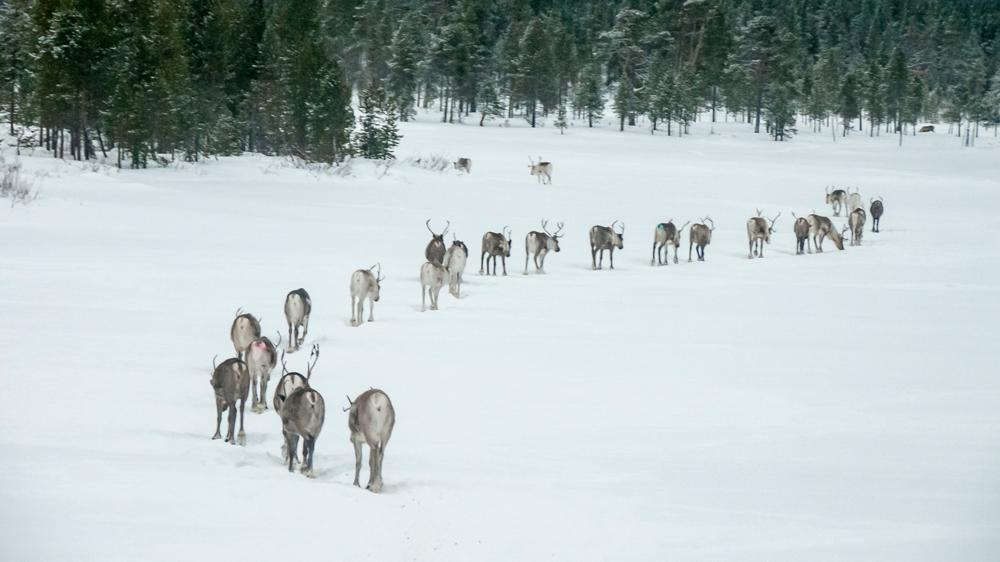 foto: Istock