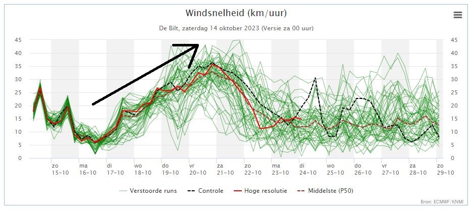 Pluim wind.JPG