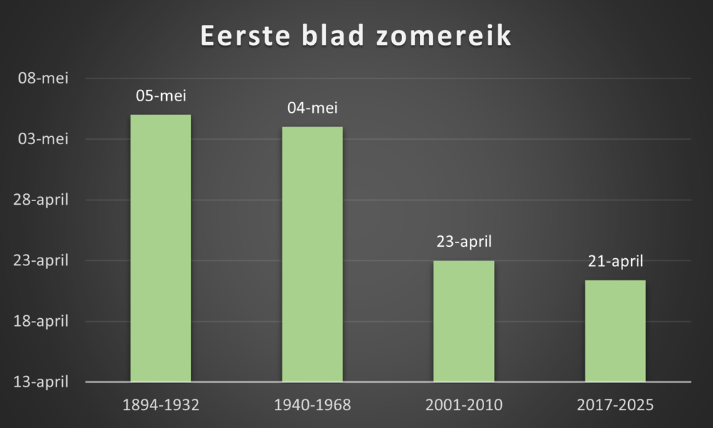 Afbeelding1.png