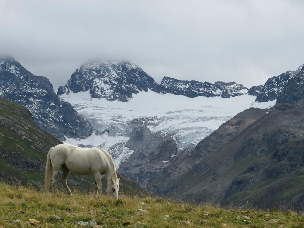 Leander de Wit, Montafon.jpg