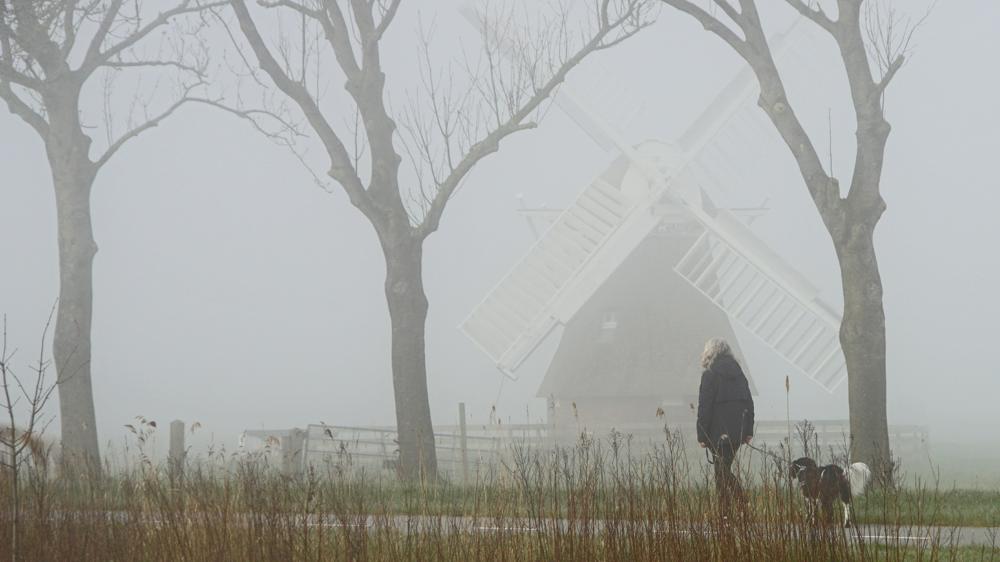 Zicht wordt beperkt door mist. Het contrast van objecten verdwijnt. (foto: Gerrit Draaisma)