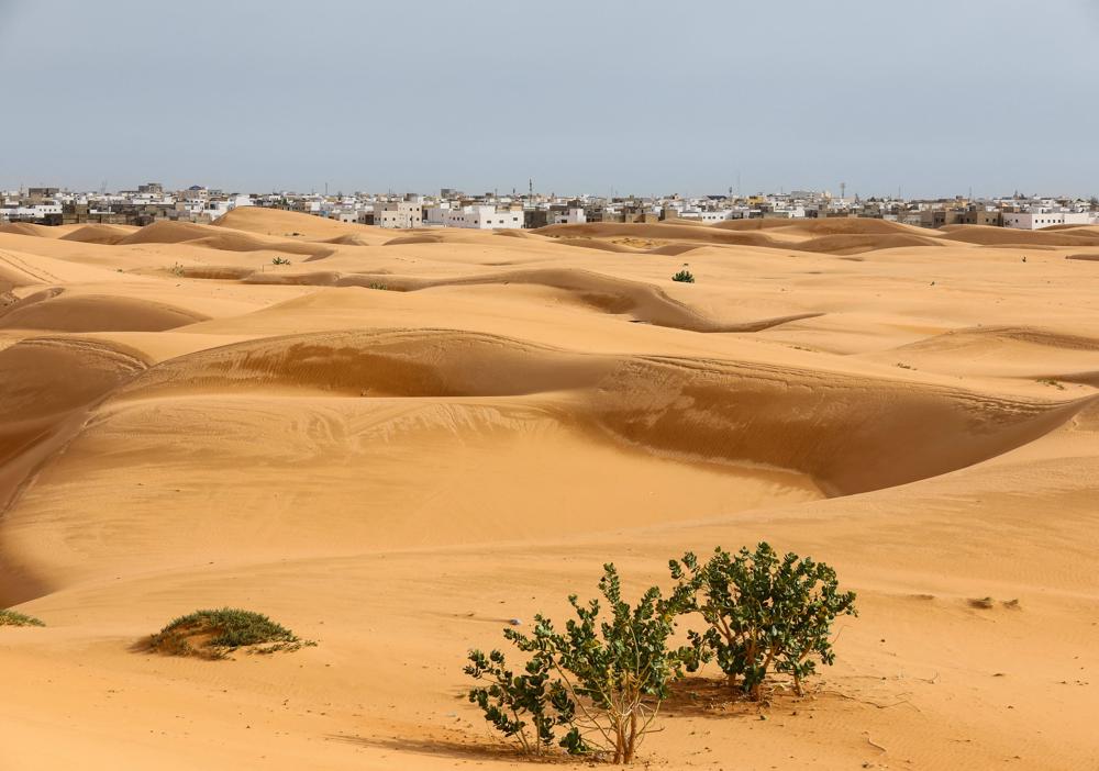 Sahara3.jpg