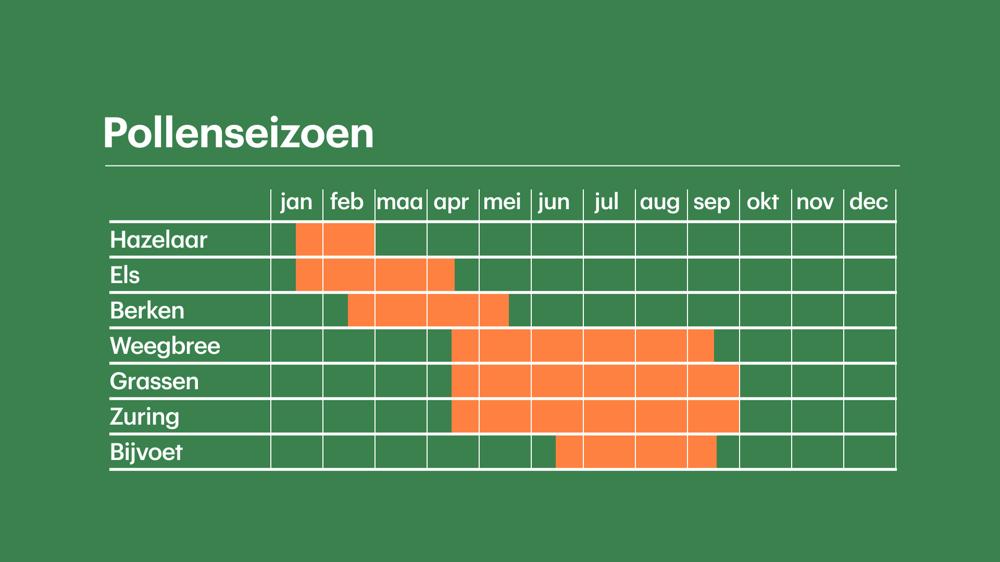 Buienradar.Nl - Actuele Neerslag, Weerbericht, Weersverwachting,  Sneeuwradar En Satellietbeelden