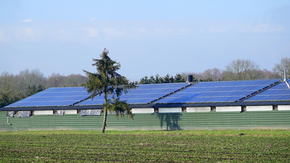 Ben Saanen, Budel.jpg