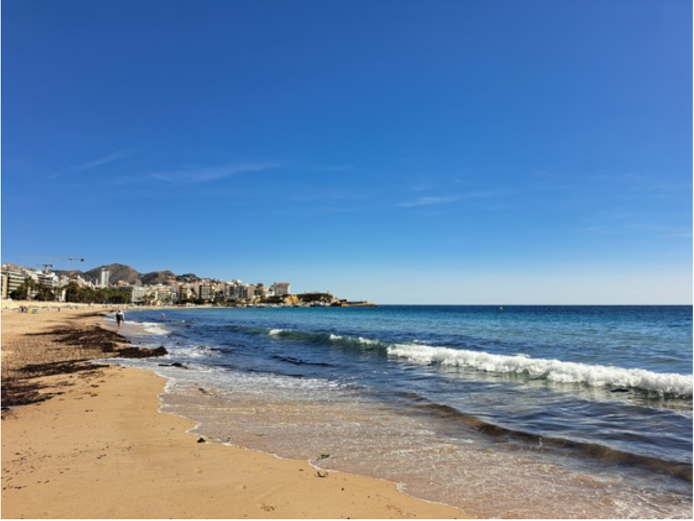 Benidorm, Yvonne Raphael.png