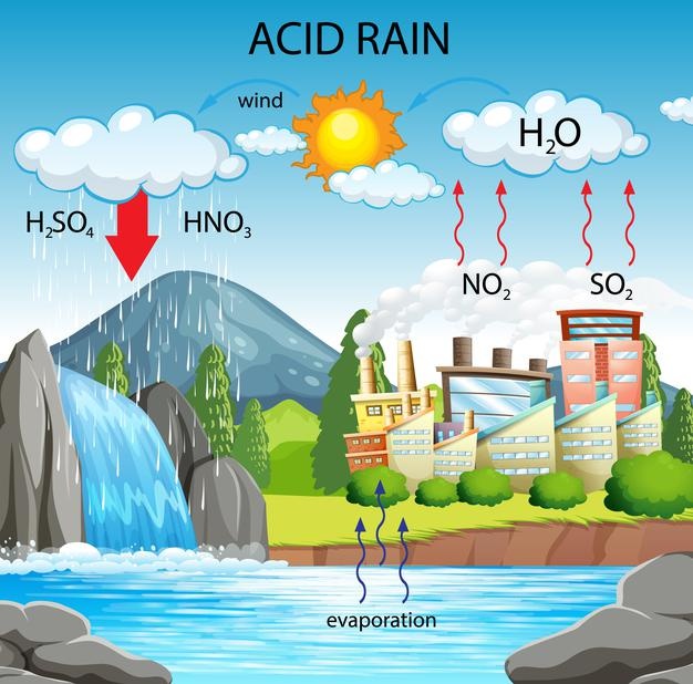 Acid rain.jpg