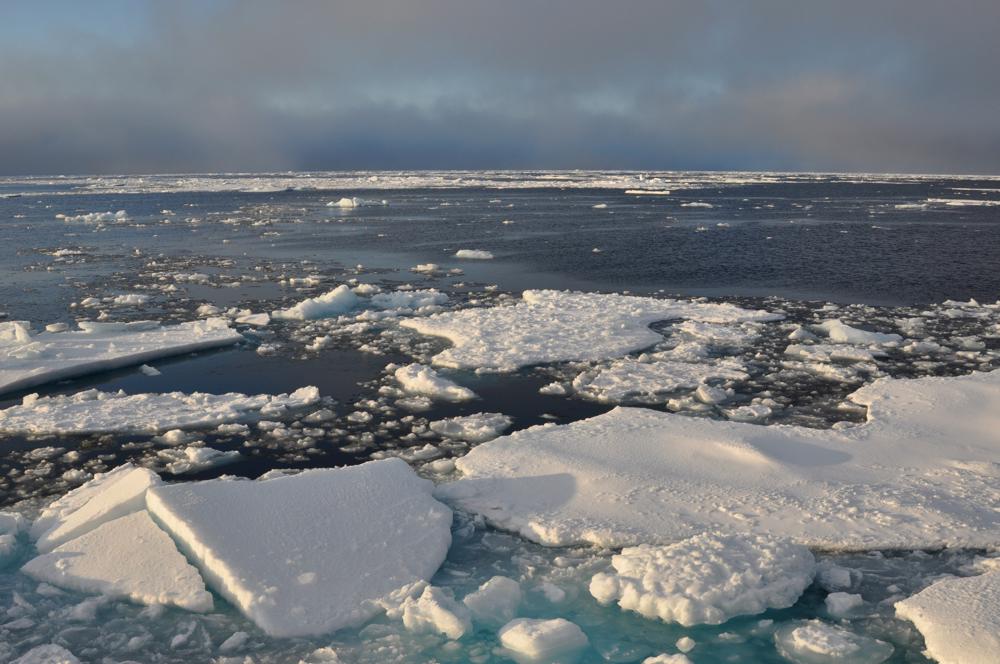 Arctic_ice_Patrick Kelley via Wikipedia.jpg