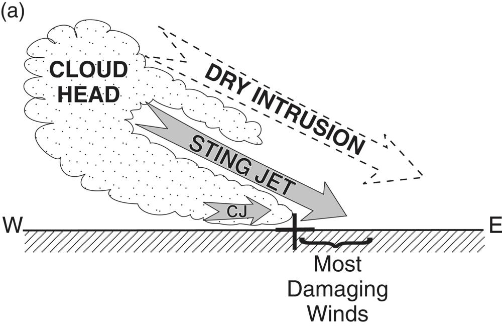 qj3267-fig-0006-m.jpg