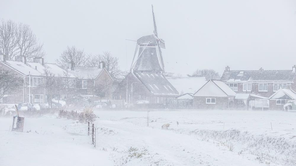 Tim Zijlstra Anjum.jpg