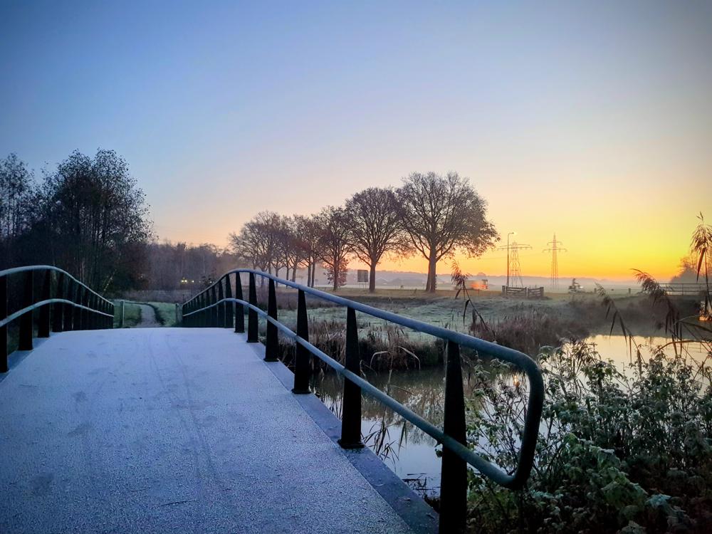 Marianne Steenbergen