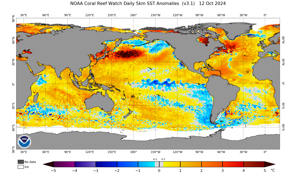 ct5km_ssta_v3.1_global_20241012.png