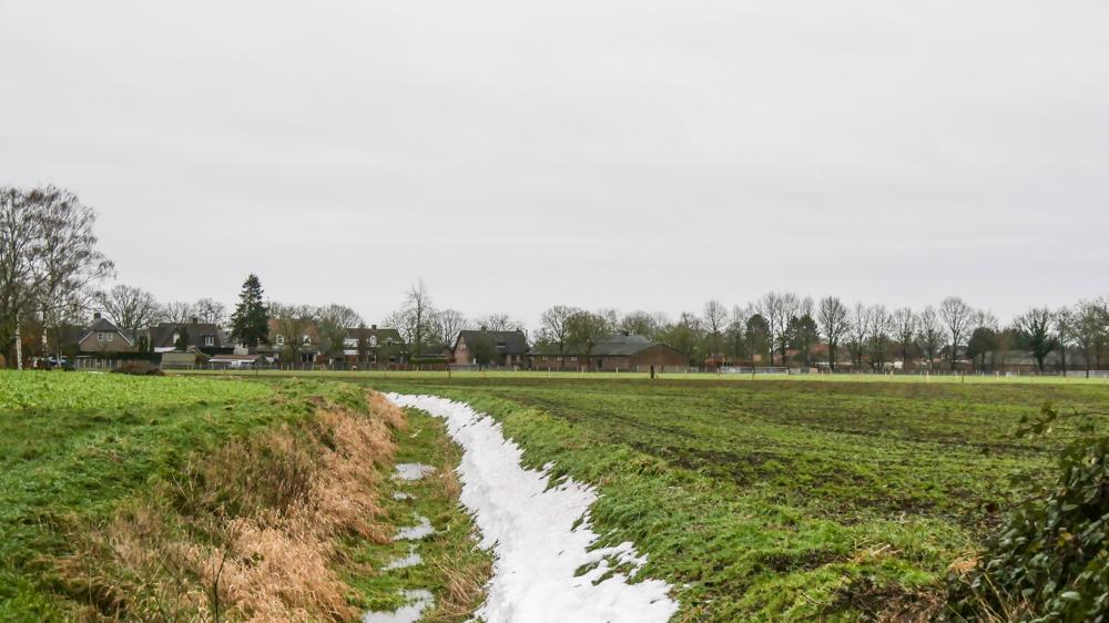 De dooi doet de sneeuw snel verdwijnen (Stamproy, foto: Jos Hebben)