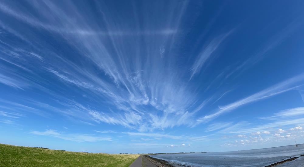 20230814_Arien Boer_Terschelling.jpeg