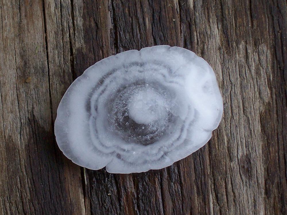 Hailstone_concentric rings_ERZ.jpg