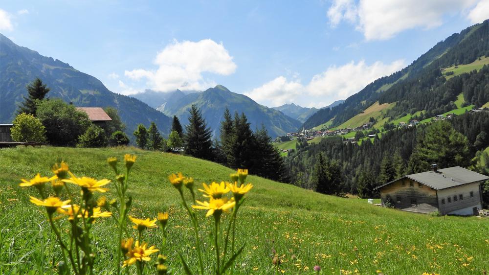 20190801_Hans ter Braak_Mittelberg.jpg